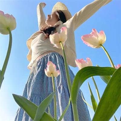 高地沙漠